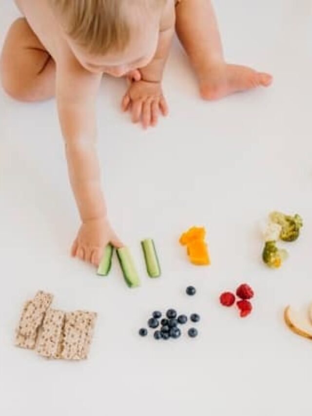 Top 10 Best Baby Food Brand According To Experts